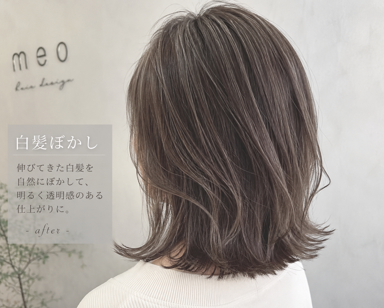 画像4570